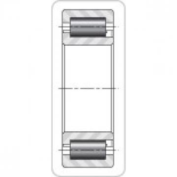 Da - Outer Ring Backing Diameter TIMKEN NJ29/710MA Cylindrical Roller Radial Bearing