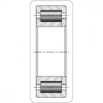 Bearing Weight TIMKEN NUP29/710M Cylindrical Roller Radial Bearing